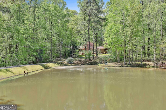 337 Andrew Bailey Rd, Sharpsburg, GA 30277 - water view