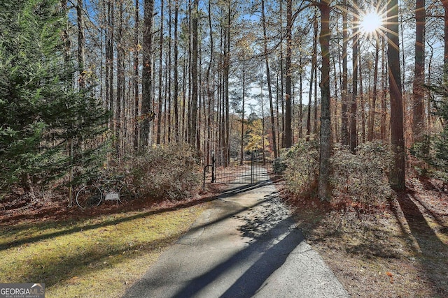 337 Andrew Bailey Rd, Sharpsburg, GA 30277 - view of street with a gate and a view of trees