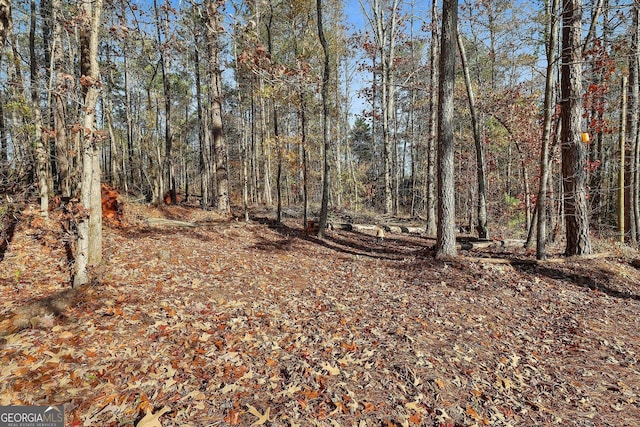 337 Andrew Bailey Rd, Sharpsburg, GA 30277 - view of woods