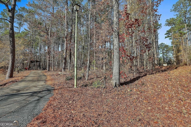 337 Andrew Bailey Rd, Sharpsburg, GA 30277 - view of road featuring street lights and a view of trees