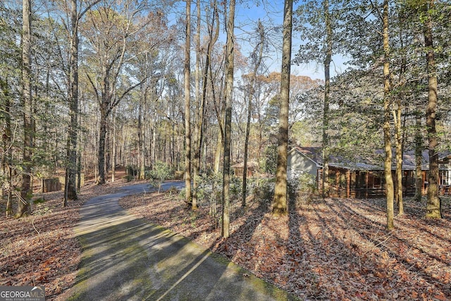 337 Andrew Bailey Rd, Sharpsburg, GA 30277 - view of yard with a view of trees