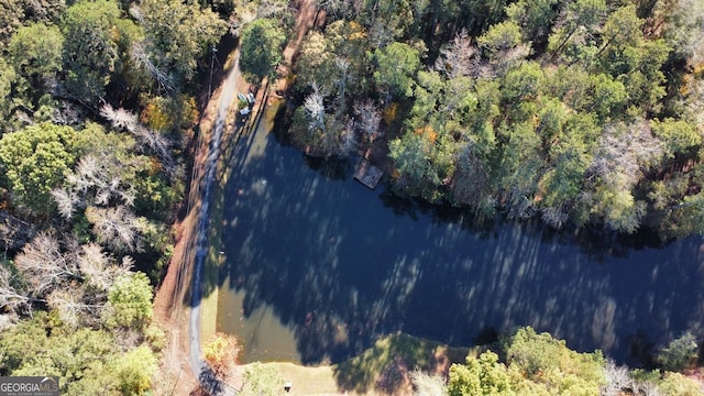 337 Andrew Bailey Rd, Sharpsburg, GA 30277 - aerial overview of property's location with a large body of water and a heavily wooded area
