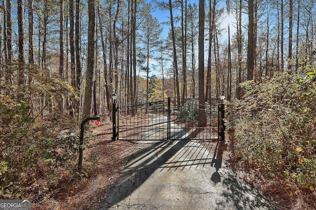 337 Andrew Bailey Rd, Sharpsburg, GA 30277 - gate with a view of trees