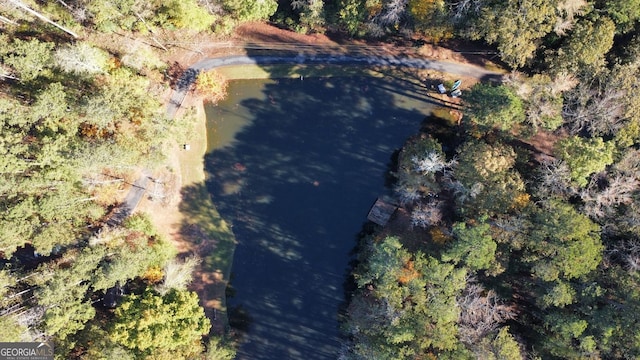 337 Andrew Bailey Rd, Sharpsburg, GA 30277 - view of property location