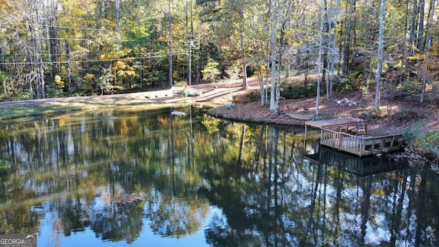 337 Andrew Bailey Rd, Sharpsburg, GA 30277 - water view with a forest