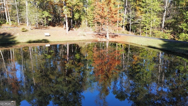 337 Andrew Bailey Rd, Sharpsburg, GA 30277 - view of nature with a nearby body of water