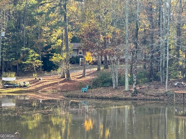 337 Andrew Bailey Rd, Sharpsburg, GA 30277 - water view