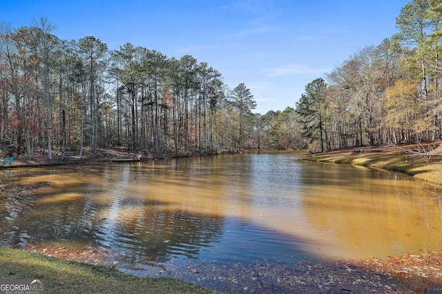 337 Andrew Bailey Rd, Sharpsburg, GA 30277 - water view with a heavily wooded area