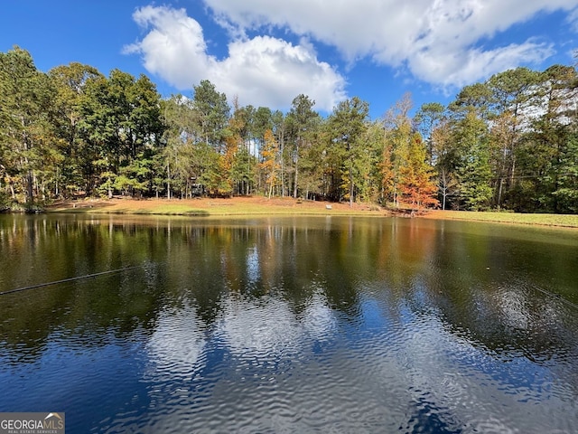 337 Andrew Bailey Rd, Sharpsburg, GA 30277 - water view featuring a forest
