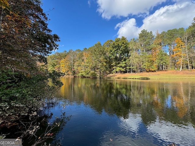 337 Andrew Bailey Rd, Sharpsburg, GA 30277 - water view with a forest