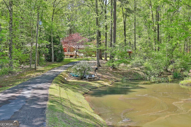 337 Andrew Bailey Rd, Sharpsburg, GA 30277 - view of home's community
