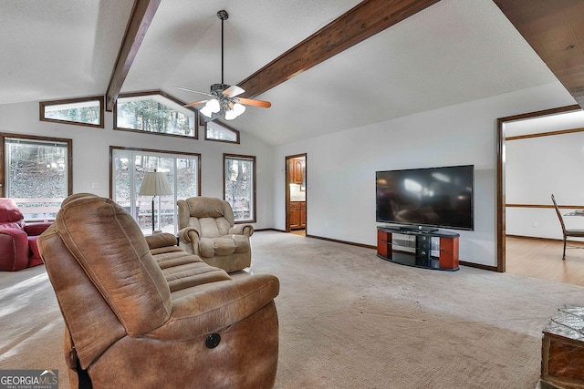337 Andrew Bailey Rd, Sharpsburg, GA 30277 - living area with carpet, plenty of natural light, and ceiling fan