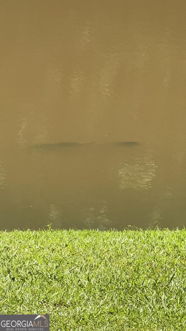 337 Andrew Bailey Rd, Sharpsburg, GA 30277 - water view