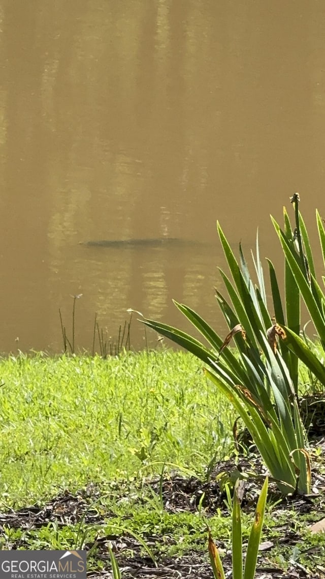 337 Andrew Bailey Rd, Sharpsburg, GA 30277 - water view