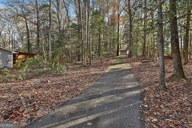 337 Andrew Bailey Rd, Sharpsburg, GA 30277 - view of asphalt driveway with a wooded view