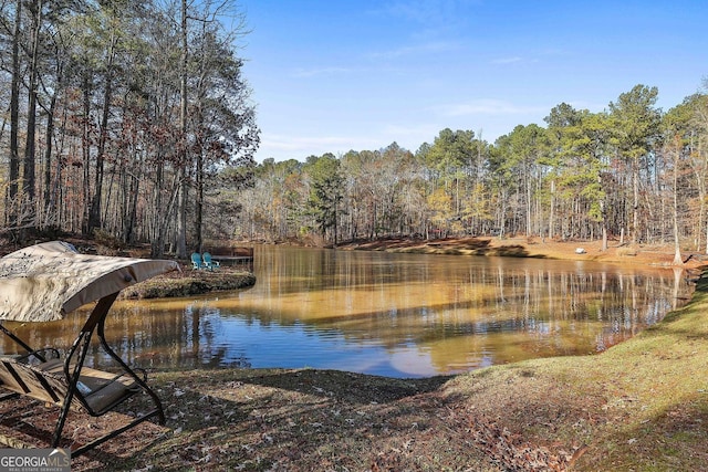 337 Andrew Bailey Rd, Sharpsburg, GA 30277 - water view featuring a heavily wooded area