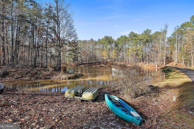 337 Andrew Bailey Rd, Sharpsburg, GA 30277 - water view featuring a forest
