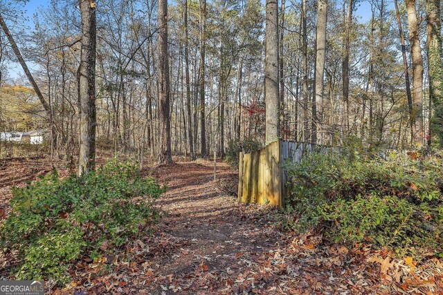 337 Andrew Bailey Rd, Sharpsburg, GA 30277 - view of nature