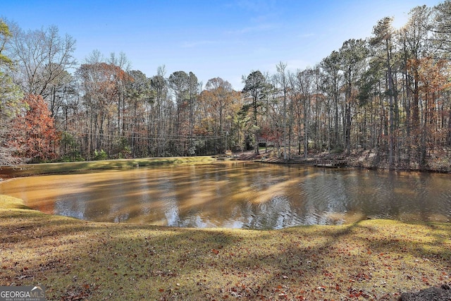 337 Andrew Bailey Rd, Sharpsburg, GA 30277 - water view featuring a forest