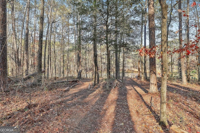 337 Andrew Bailey Rd, Sharpsburg, GA 30277 - view of street with a wooded view