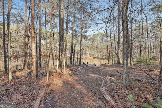 337 Andrew Bailey Rd, Sharpsburg, GA 30277 - view of wooded area