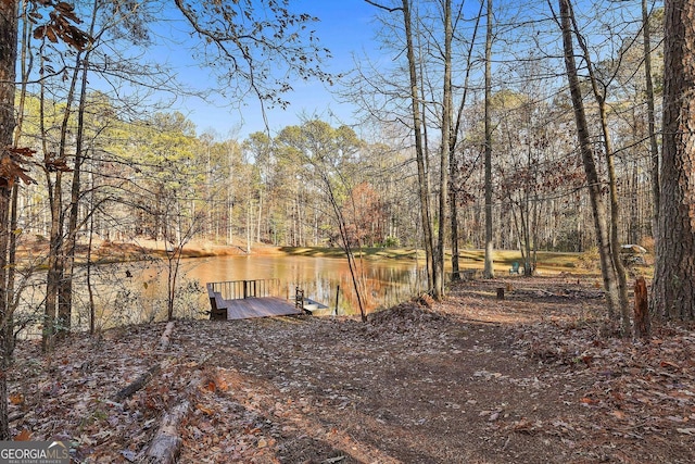 337 Andrew Bailey Rd, Sharpsburg, GA 30277 - view of yard featuring a water view, a floating dock, and a wooded view