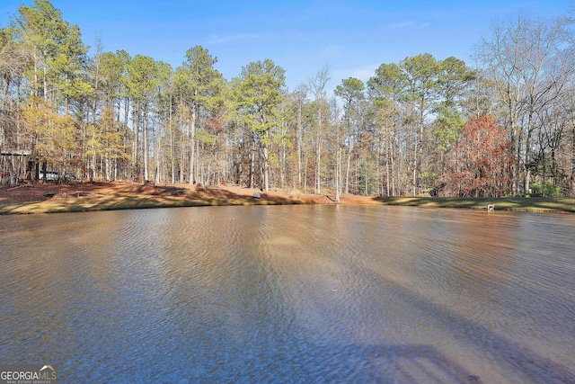 337 Andrew Bailey Rd, Sharpsburg, GA 30277 - water view featuring a heavily wooded area