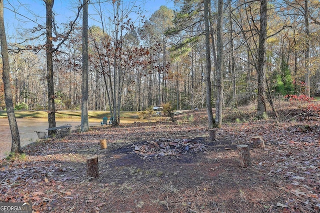 337 Andrew Bailey Rd, Sharpsburg, GA 30277 - view of yard