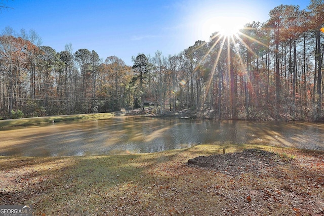 337 Andrew Bailey Rd, Sharpsburg, GA 30277 - water view with a forest