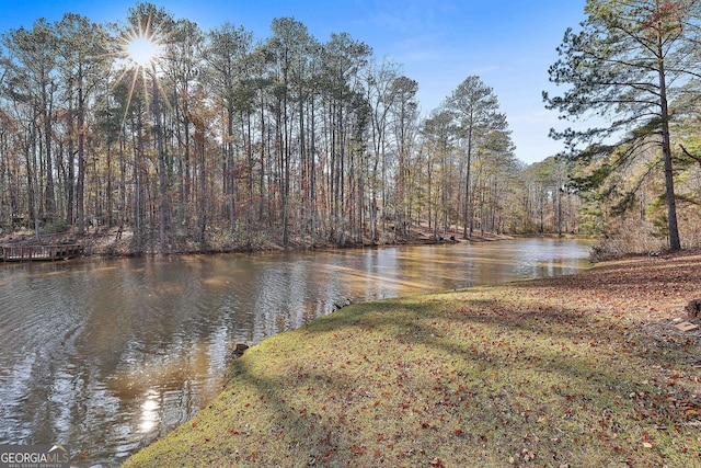 337 Andrew Bailey Rd, Sharpsburg, GA 30277 - water view with a forest