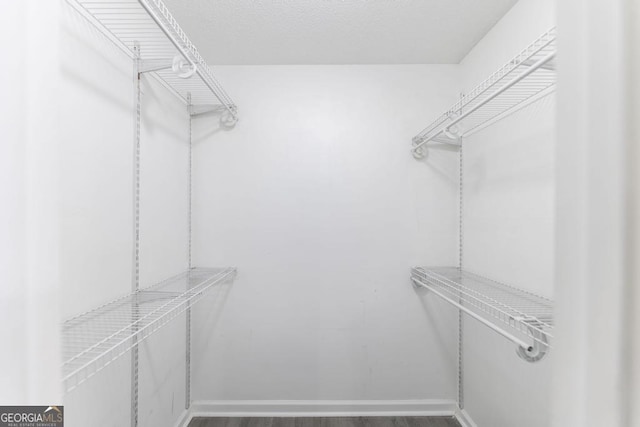 522 Wilderness Dr, Macon, GA 31220 - view of walk in closet