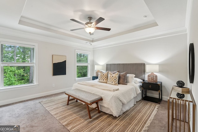 carpeted bedroom with baseboards, multiple windows, and a raised ceiling