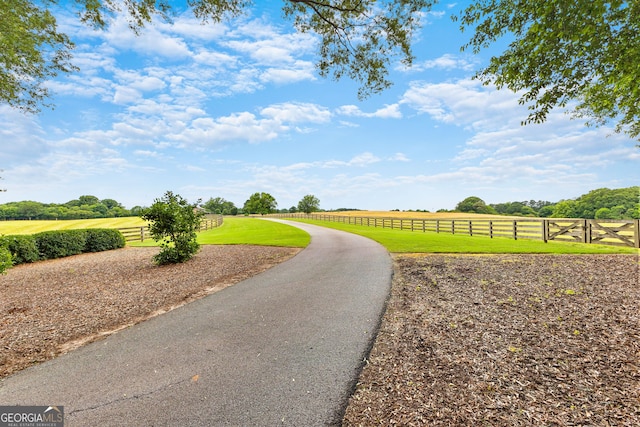 290 Weldon Rd, Fayetteville, GA 30215 - view of road