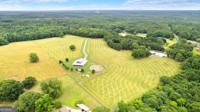 290 Weldon Rd, Fayetteville, GA 30215 - aerial view featuring a forest view