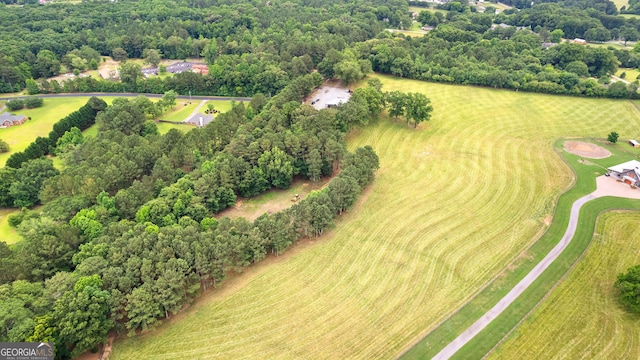 290 Weldon Rd, Fayetteville, GA 30215 - birds eye view of property