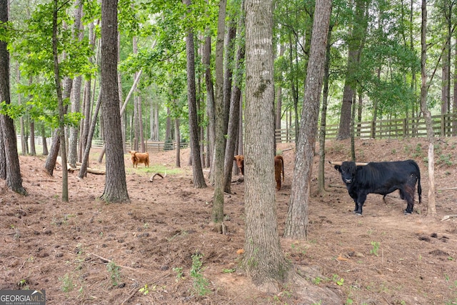 290 Weldon Rd, Fayetteville, GA 30215 - view of landscape
