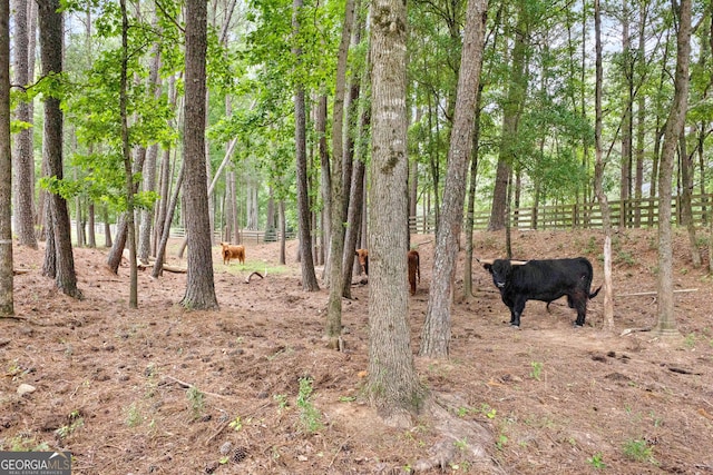 290 Weldon Rd, Fayetteville, GA 30215 - view of landscape