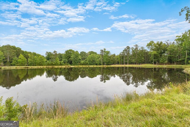 290 Weldon Rd, Fayetteville, GA 30215 - property view of water featuring a forest view