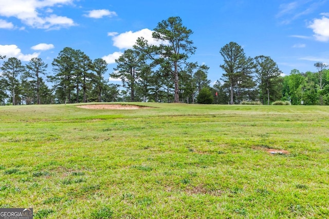1515 Cabin Creek Trl, Griffin, GA 30223 - view of yard