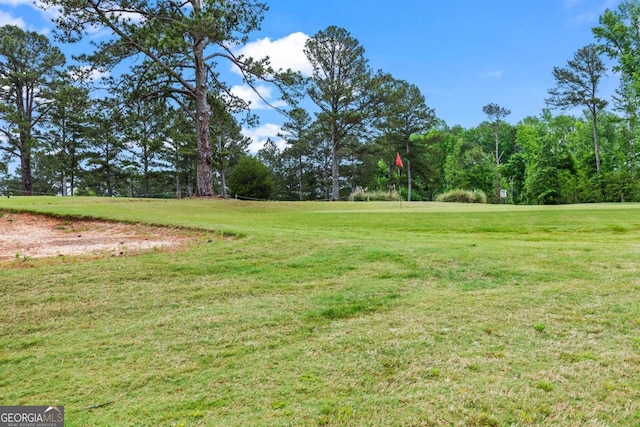 1515 Cabin Creek Trl, Griffin, GA 30223 - view of yard