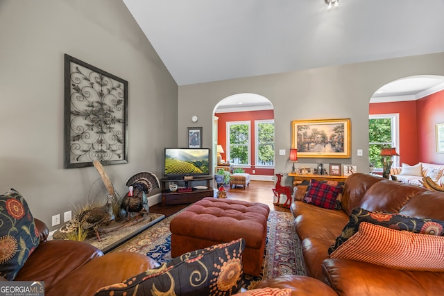 160 Evans Dr, Bogart, GA 30622 - living room featuring arched walkways, wood finished floors, baseboards, and high vaulted ceiling