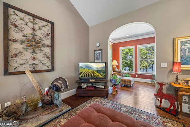 160 Evans Dr, Bogart, GA 30622 - living area featuring arched walkways, wood-type flooring, baseboards, vaulted ceiling, and ornamental molding