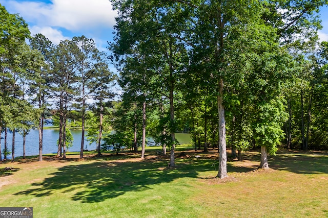 160 Evans Dr, Bogart, GA 30622 - view of green lawn with a water view