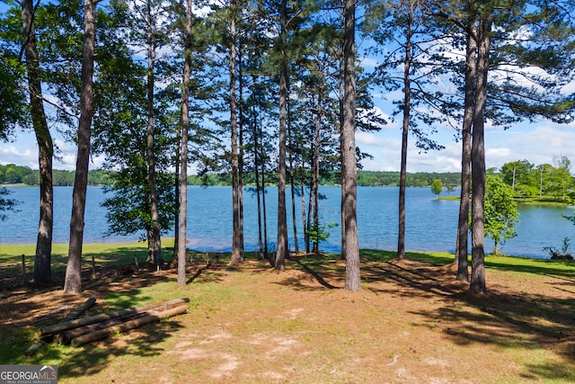 160 Evans Dr, Bogart, GA 30622 - water view