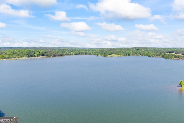 160 Evans Dr, Bogart, GA 30622 - water view with a forest
