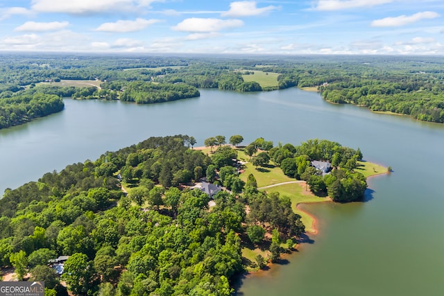 160 Evans Dr, Bogart, GA 30622 - aerial view of a forest and a nearby body of water