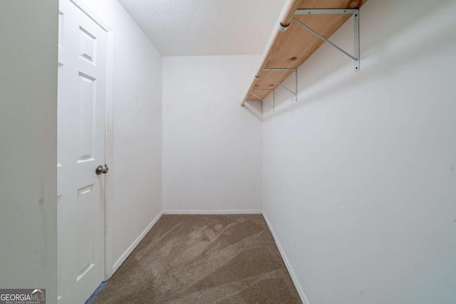 744 Brittany Ct, Stone Mountain, GA 30083 - walk in closet with carpet flooring