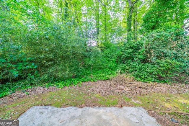 744 Brittany Ct, Stone Mountain, GA 30083 - view of yard