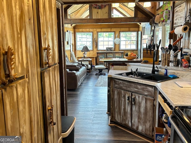 kitchen featuring a sink, stainless steel range with electric stovetop, dark wood-style flooring, and light countertops