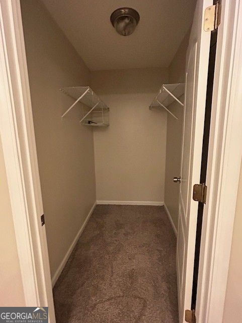 spacious closet featuring carpet flooring